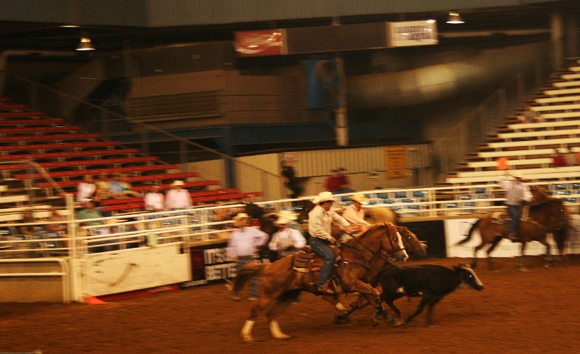 Rodeo Roping